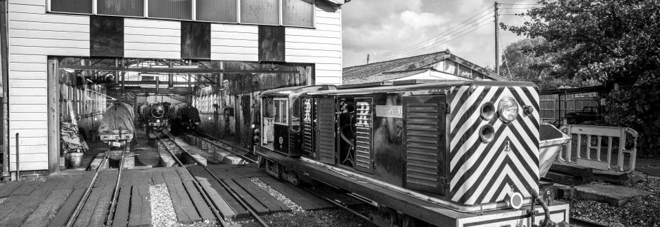 Our pair of mainline 15" gauge diesels are special too 