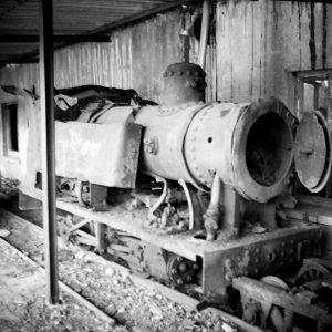 The Bug in derelict condition